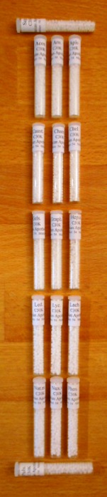 Das Foto zeigt eine Reihe Glasröhrchen, die homöopathische Globuli enthalten