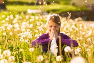 In einer Wiese sitzendes Mädchen hat Heuschnupfen, niest und schneuzt