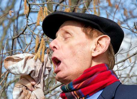 Mann hat Niesanfall wegen Pollenallergie (Heuschnupfen). Im Hintergrund blühender Haselstrauch