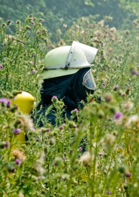 Heuschnupfen - Mit Atemschutz in einer Blumenwiese: Etwas übertrieben!